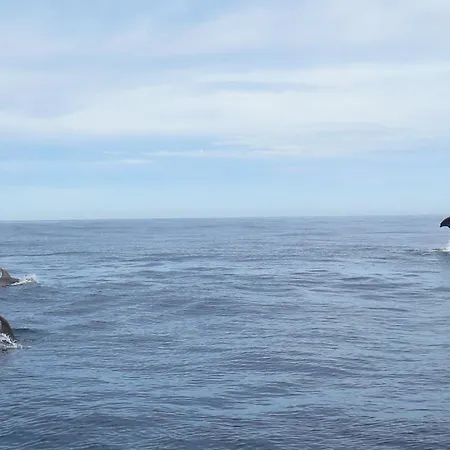 Cosy Avec Vue Sur La A - 46 M² Apartment Camiers